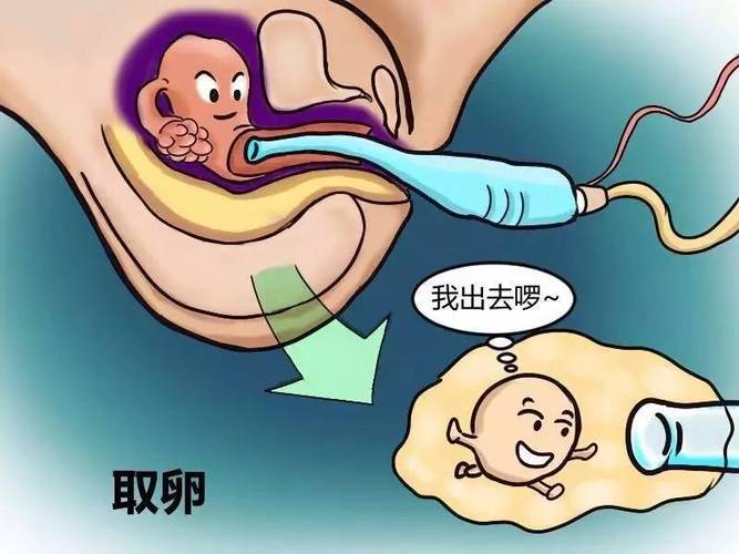 供卵试管代怀产子-供卵试管代怀产子:现代科技助力实现生育梦想