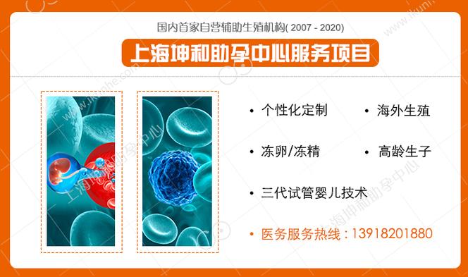 国内供卵试管代怀中心(国内供卵试管代怀中心:助您圆梦成为父母)