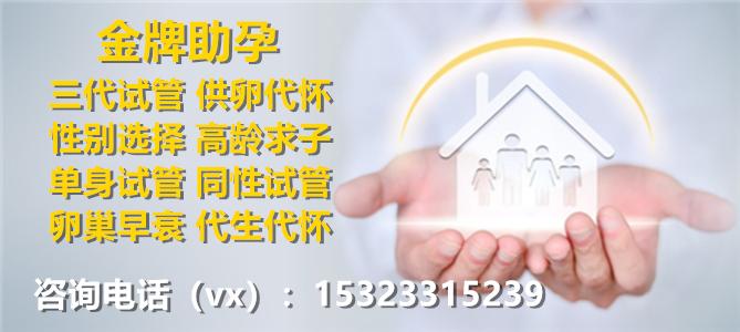 国内供卵公司-国内供卵公司:助力家庭梦想实现