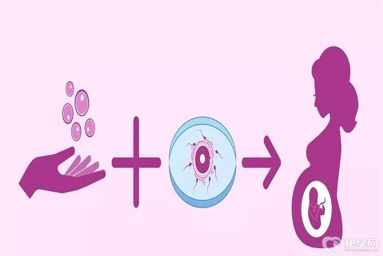 广州哪里可以做供卵试管婴儿_广州哪里可以进行供卵试管婴儿操作