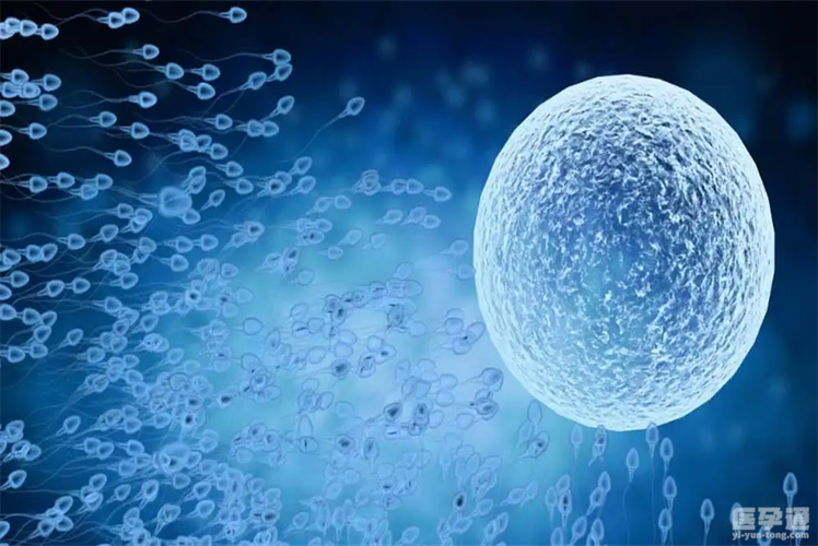 供卵试管是自己的孩子吗【供卵试管:孩子的真正亲生母亲是自己吗?】