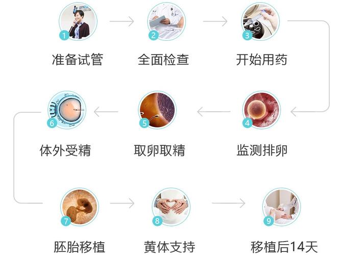 公立医院供卵流程-公立医院供卵流程详解