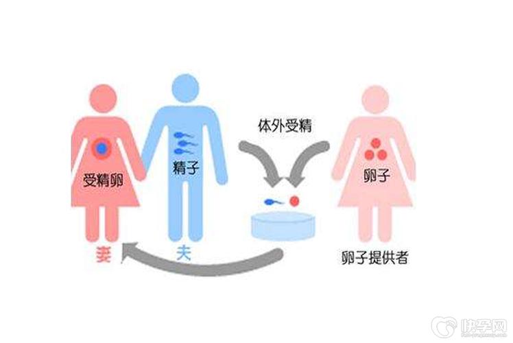 供卵去哪里做比较好【供卵去哪里做比较好?选择最佳供卵地点的指南】