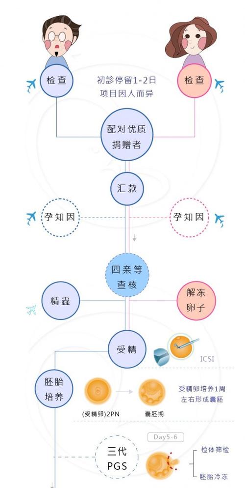 供卵需要什么手续【供卵手续需知-详细解读供卵需要什么手续】